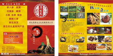 参萃养生·普惠指南 人参用途与功效详析
